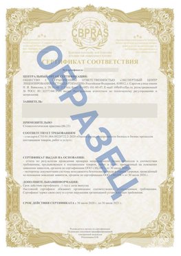 Образец Сертификат СТО 01.064.00220722.2-2020 Нижнеудинск Сертификат СТО 01.064.00220722.2-2020 